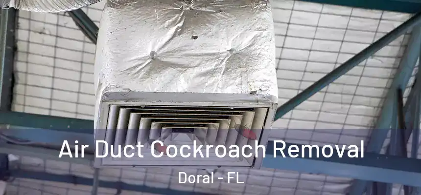 Air Duct Cockroach Removal Doral - FL