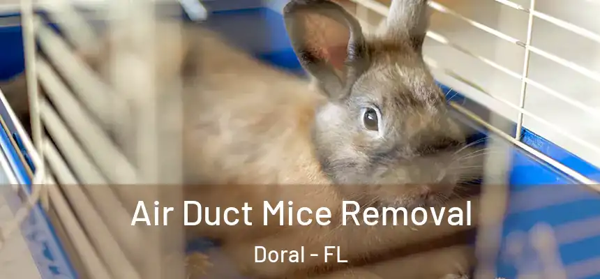Air Duct Mice Removal Doral - FL