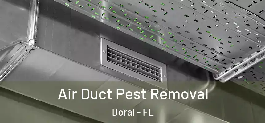 Air Duct Pest Removal Doral - FL