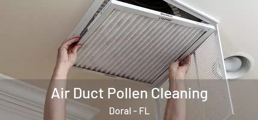 Air Duct Pollen Cleaning Doral - FL