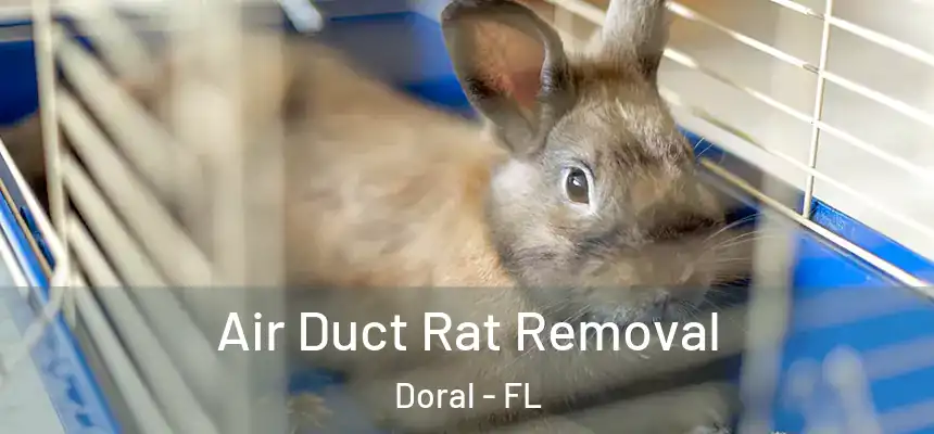 Air Duct Rat Removal Doral - FL