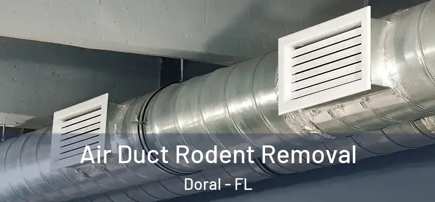 Air Duct Rodent Removal Doral - FL