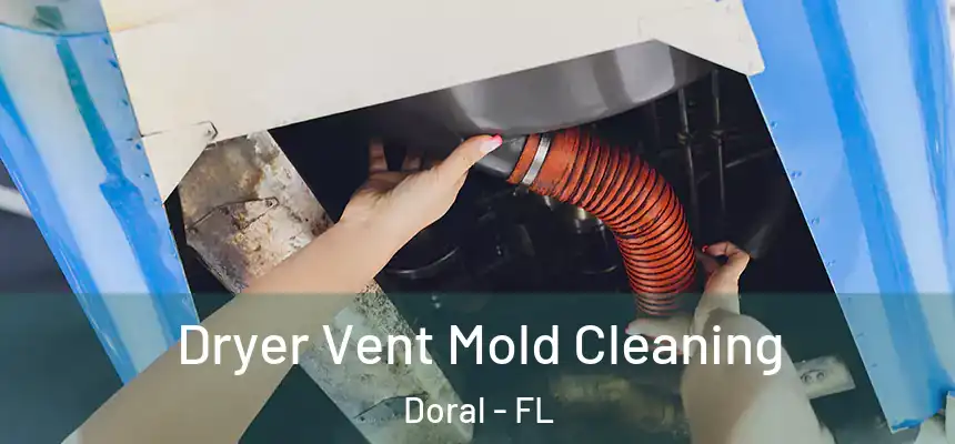 Dryer Vent Mold Cleaning Doral - FL