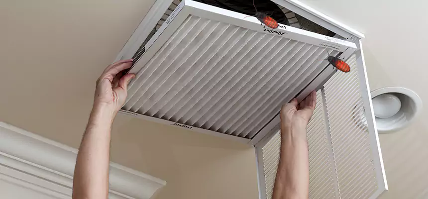 Preventive Cockroach-Proofing for Ducts in Doral
