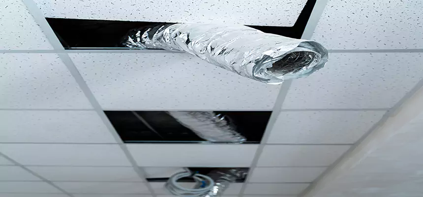 Affordable HVAC Sanitizing After Pest Removal in Doral