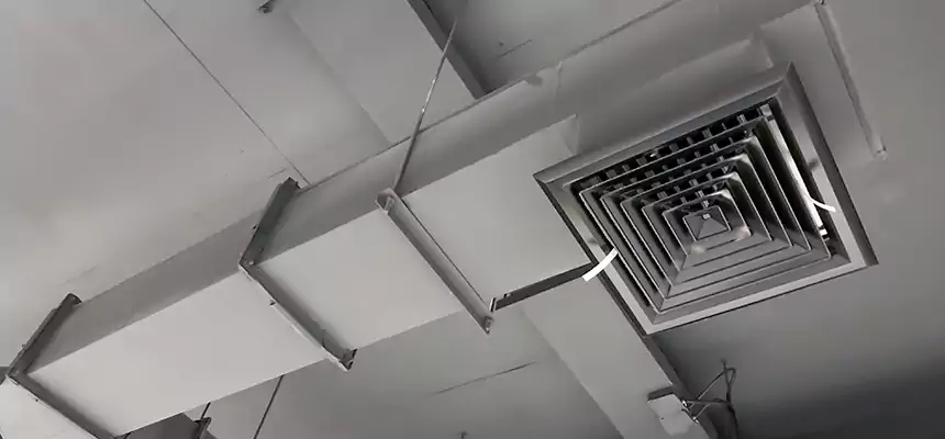 Our Rodent Droppings In Vents Services in Doral, FL