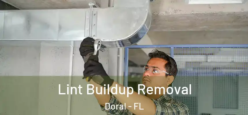 Lint Buildup Removal Doral - FL