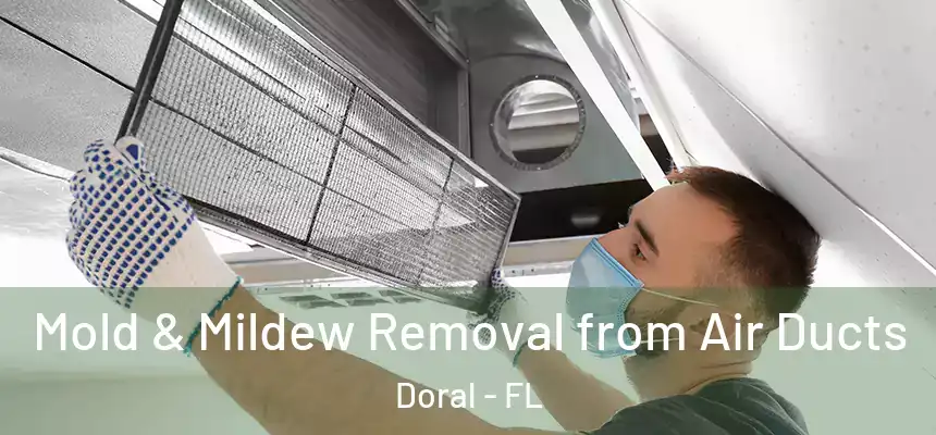 Mold & Mildew Removal from Air Ducts Doral - FL