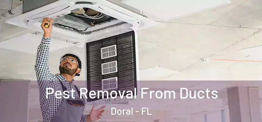 Pest Removal From Ducts Doral - FL