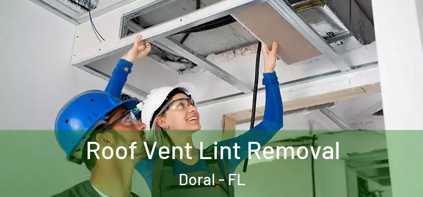 Roof Vent Lint Removal Doral - FL