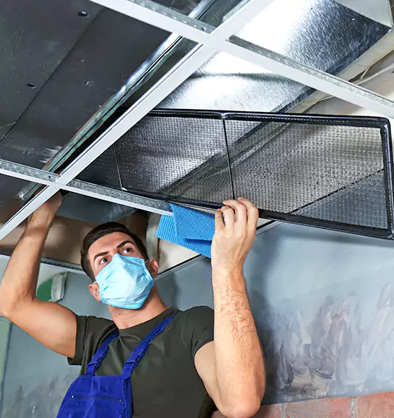 Professional Air Duct Pollen Cleaning in Doral, FL