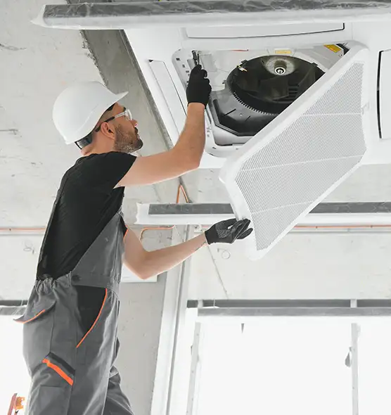 About Air Duct Rodent Removal in Doral, FL