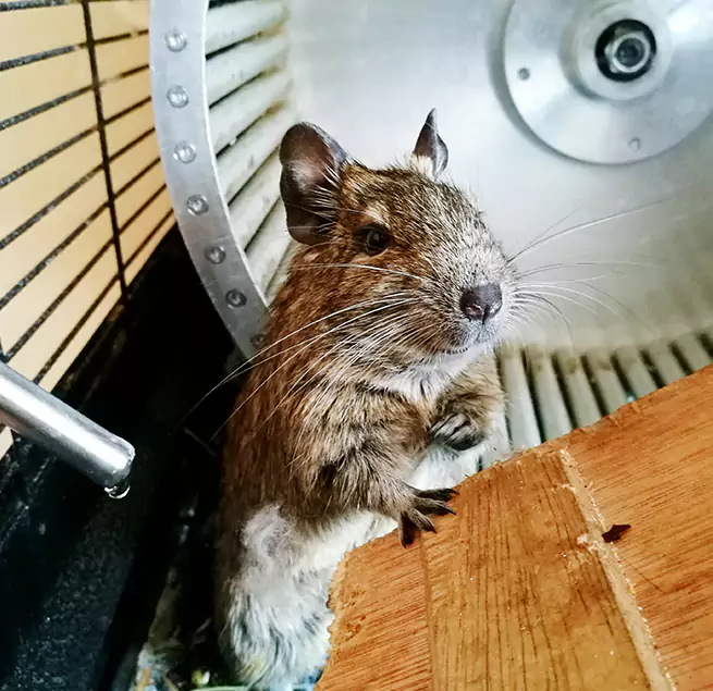 Why Homeowners & Businesses Trust Us Doral, FL