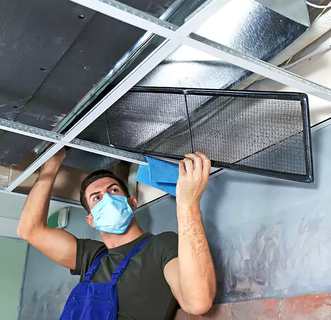 Why Homeowners Businesses Trust Us in Doral, FL