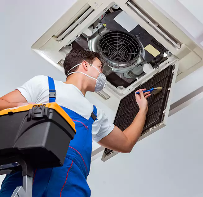 Why Homeowners & Businesses Trust Us in Doral, FL