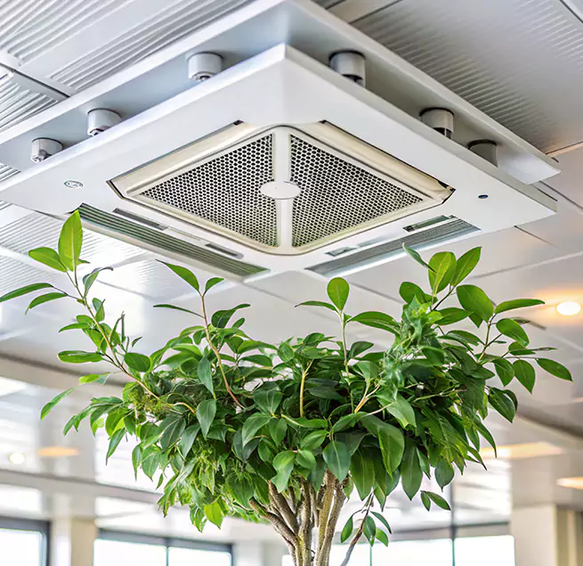 Why Homeowners & Businesses Trust Us in Doral, FL