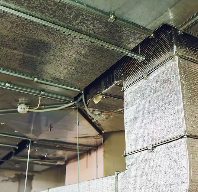 Why Homeowners & Businesses Trust Us in Doral, FL?